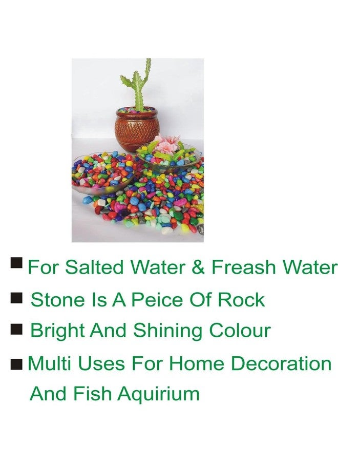 Afast Multicolor Pabbles/Stone for Garden, Plants, Aquarium & Home Decor, Marvels, Decoration, Fish Aquarium, Vase Filler, 0.5 KG -AD1 - Image 3